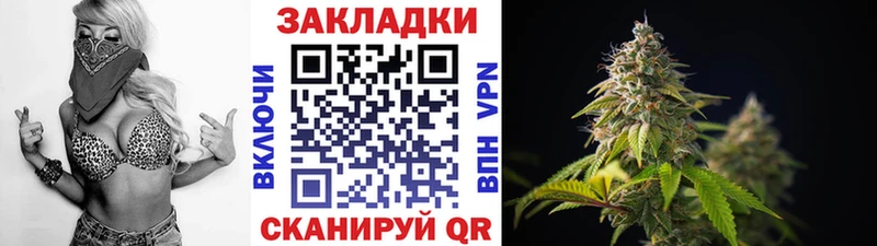 Где продают наркотики Киселёвск ГАШ МАРИХУАНА ссылка на мегу Мефедрон LSD-25