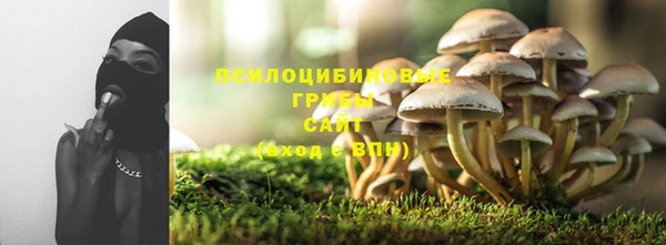 шишки Алексеевка