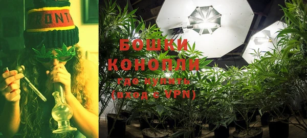 ГАЛЛЮЦИНОГЕННЫЕ ГРИБЫ Абинск