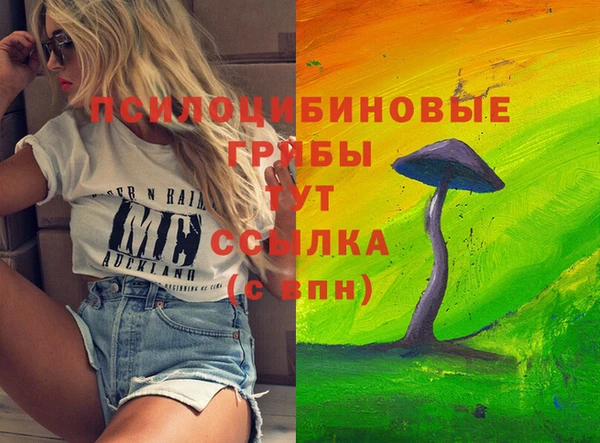 шишки Алексеевка