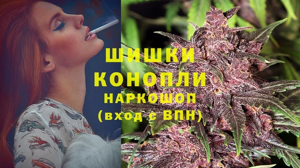 шишки Алексеевка