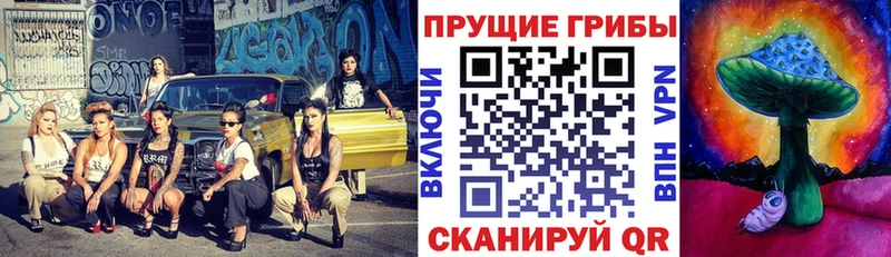 Псилоцибиновые грибы прущие грибы  Киселёвск 
